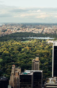 高空俯瞰中央公园绿洲，茂密林冠环绕城市钢筋森林