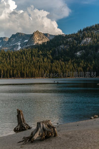 高山湖泊静谧如镜，枯木静卧岸边，远山松林与云影共绘宁静画卷