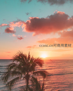 椰影剪影映衬热带日落，海面金光粼粼，帆船点点远航