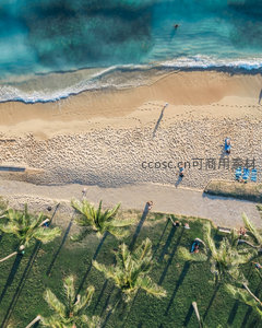 垂直俯拍热带海滩步道，棕榈树影与游客足迹交织成画