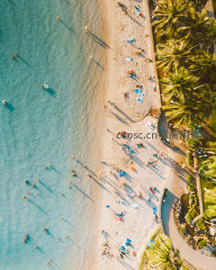 斜角航拍海滩人群活动，清澈浅水区游人嬉戏与椰林小径相映成趣