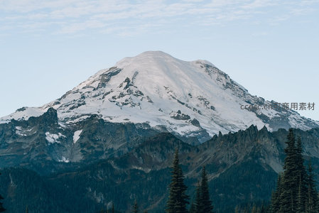 雷尼尔山雪峰巍峨，松林环绕，晨光映照壮丽自然景观