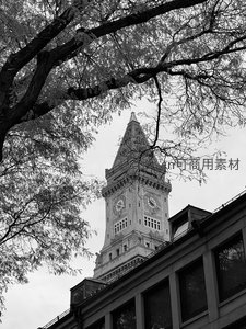 黑白构图下的钟楼与枝桠交织，古典建筑在树影中静默矗立