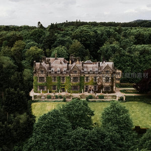 藤蔓覆盖的古老庄园航拍，绿意盎然隐于森林之中