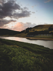 黄昏湖畔山丘与蕨类植被的宁静自然风光