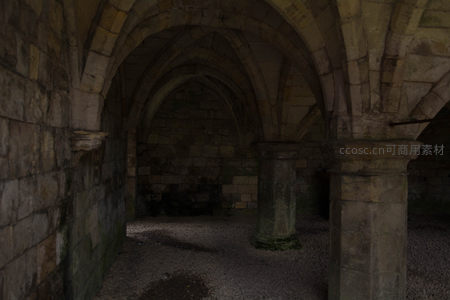 哥特式石拱地下室，粗犷石柱与尖券结构交织，苔痕斑驳诉说百年沧桑
