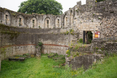 古老修道院遗址内景，青苔爬满石墙与拱窗，绿草丛生显沧桑静谧