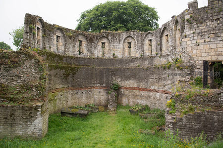 古老修道院遗址青苔覆盖石墙与拱窗，绿草丛生显历史沧桑