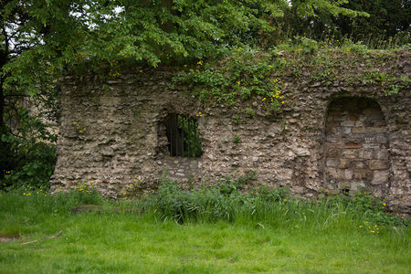 藤蔓攀爬的古老石墙残段，拱形窗洞铁栅斑驳，野花点缀绿茵