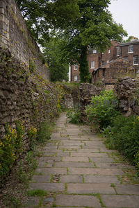 古城墙夹道小径青苔石板路，野花点缀断壁残垣，现代民居隐现林间