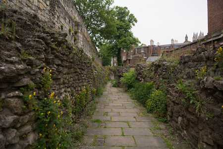 古老石墙夹道小径，野花丛生绿意盎然，城市遗迹与自然共生