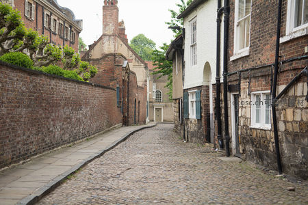 鹅卵石小巷蜿蜒曲折，砖墙青苔与修剪绿植点缀古朴民居