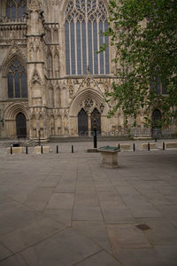 约克大教堂西立面哥特式细节与绿树掩映