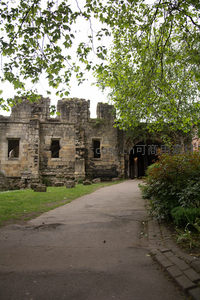 绿荫掩映下的古老石砌城堡遗迹，静谧小径通向拱门深处