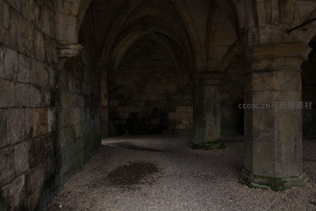 哥特式拱顶地下回廊，石柱森然，幽暗中透出历史沧桑感