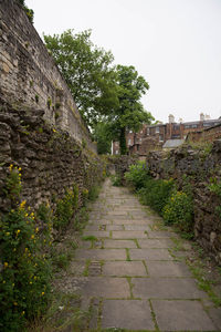 青苔石板小径穿行于古老城墙遗迹间野花点缀