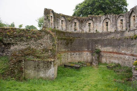 废弃修道院遗址环形石墙，青苔藤蔓覆盖残垣断柱