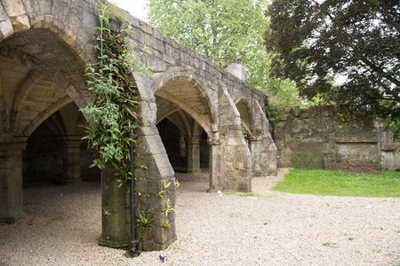 古老石拱廊廊柱爬满常春藤，碎石庭院静默诉说千年往事
