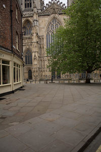 约克大教堂哥特式立面矗立街角，绿树掩映，石板路延伸静谧广场
