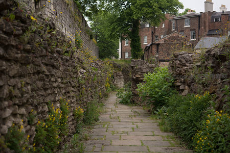 古城墙遗址小径与野花共生景象