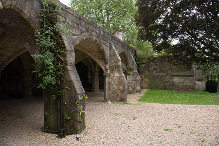 中世纪修道院拱廊遗迹，藤蔓攀爬石柱展现自然与人文交融之美
