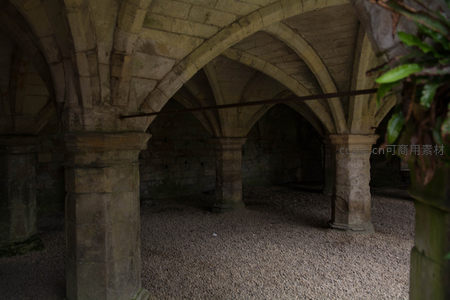 古老石拱廊柱支撑穹顶，苔痕斑驳，静默诉说中世纪修道院往事