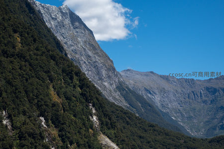 陡峭山脊与茂密雨林交织，晴空下展现峡湾生态多样性