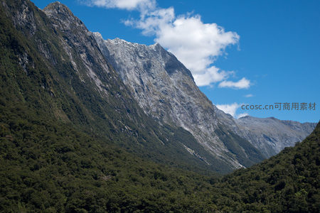 陡峭岩壁与茂密雨林交织的峡湾山景特写