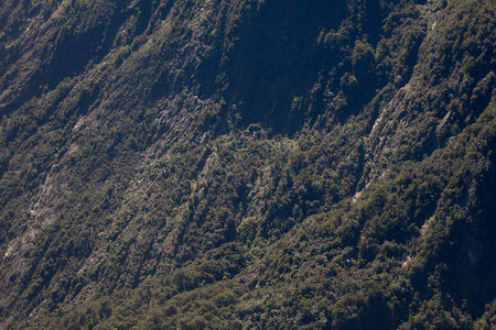 斜坡森林密布的高山地貌航拍特写，岩缝间渗流溪线隐约可见