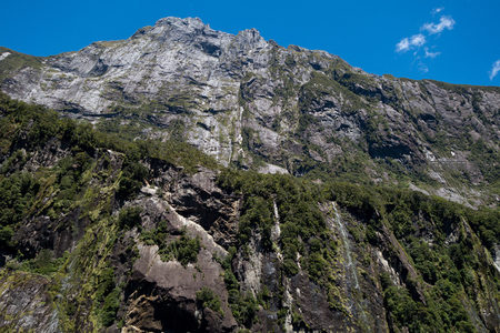陡峭岩壁上绿植与裸露岩石交织，展现地质与生态共存