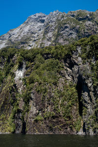 新西兰峡湾陡峭岩壁与翠绿植被交映的壮丽自然景观