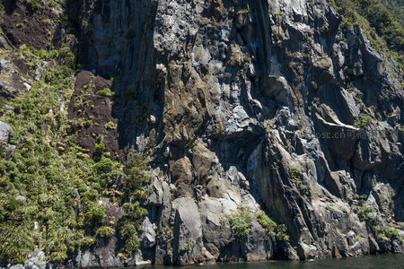 峡湾岩壁特写：层理分明的岩石结构与顽强植被共生景象