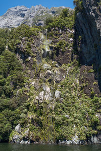山涧细瀑从覆满青苔的岩壁倾泻而下，汇入幽静峡湾水域