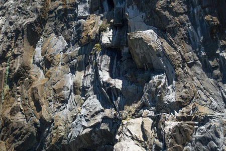 阳光下的花岗岩断层带，粗粝质感与细小绿植形成生命张力