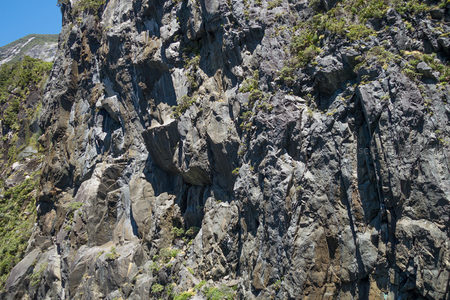 陡峭岩壁纹理细节特写，阳光下灰黑岩石与绿植交织
