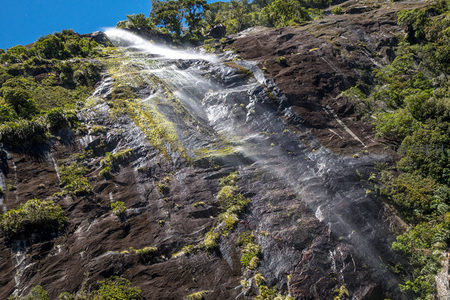 激流冲刷岩面溅起水雾，绿植顽强生长于险峻崖壁