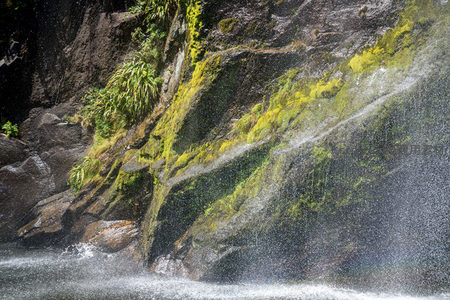 苔藓覆盖的岩壁间细流飞溅，水珠如星尘洒落静谧溪潭