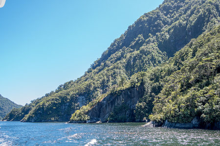 船行峡湾间，青山倒影水中，岩岸林木葱郁，天光澄澈