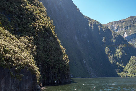 峡湾陡峭山崖覆满森林，碧水倒映苍翠峰影