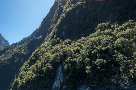 陡峭山壁上层叠繁茂的亚热带雨林特写