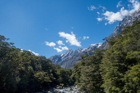 雪山巍峨映蓝天，森林环抱峡谷溪流，壮丽高山景观
