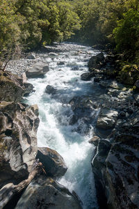 激流穿越嶙峋乱石，林荫掩映深谷，展现野性河流澎湃生命力