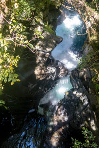幽谷深涧飞瀑倾泻，绿植垂挂光影斑驳如画