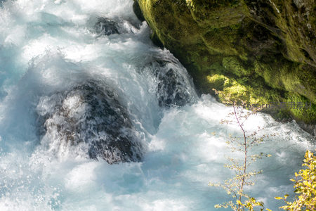 清泉绕石奔涌不息，嫩枝探入碧波映衬苔岩