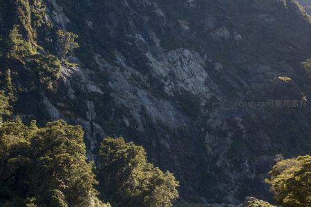 岩壁苍劲覆绿荫，光影交错显层理