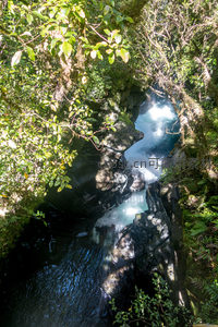 林荫掩映的幽谷溪涧，碧水激荡于黑岩之间，光影流动如诗