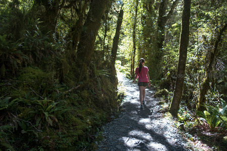 林间小径上少女背影漫步于光影斑驳的苔原森林