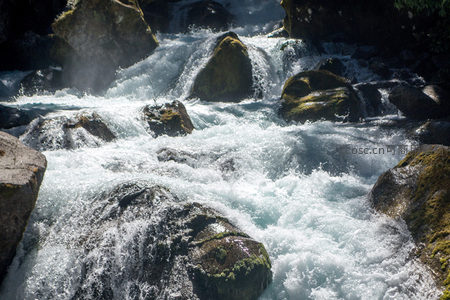 湍流绕石奔腾不息，阳光映照水珠晶莹，苔痕斑驳见证岁月流转
