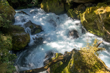 阳光洒落苔痕溪谷，湍流绕枝穿石奔涌不息