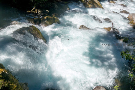 俯瞰激流冲击岩群，水雾弥漫如烟，林影斑驳映照碧波